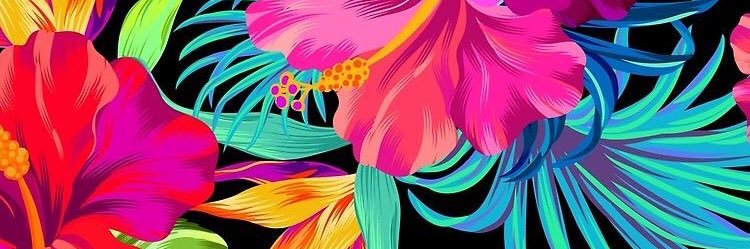 FridaLivre's profile banner image