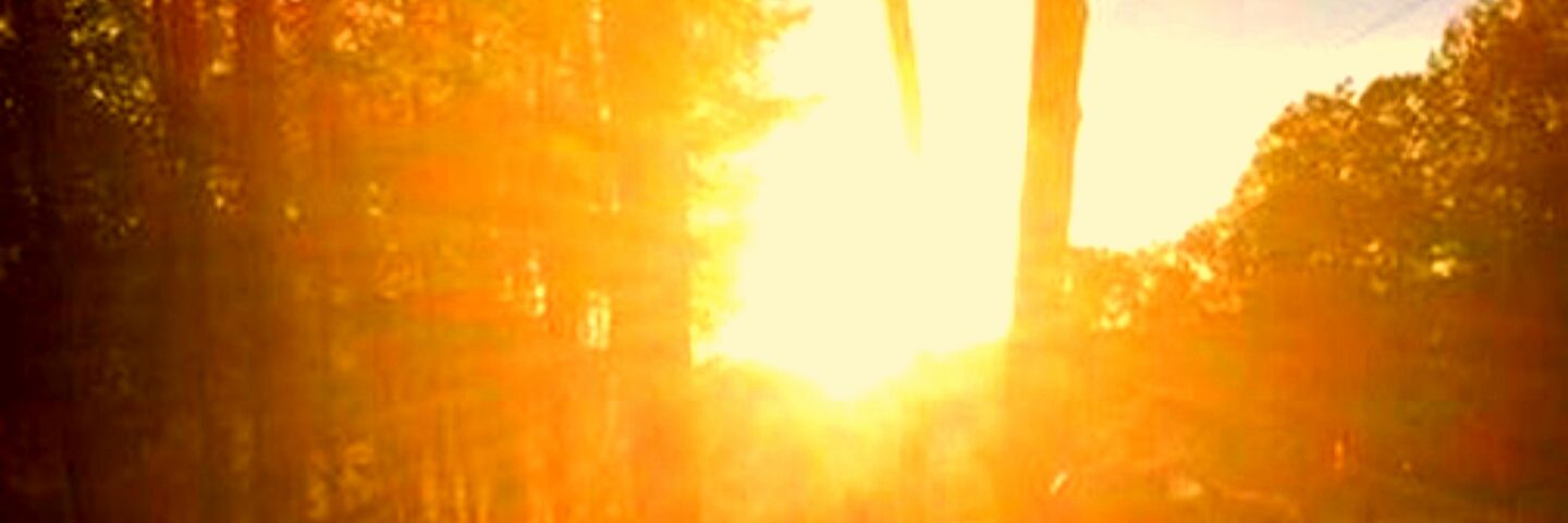 Rothbart_jordan's profile banner image