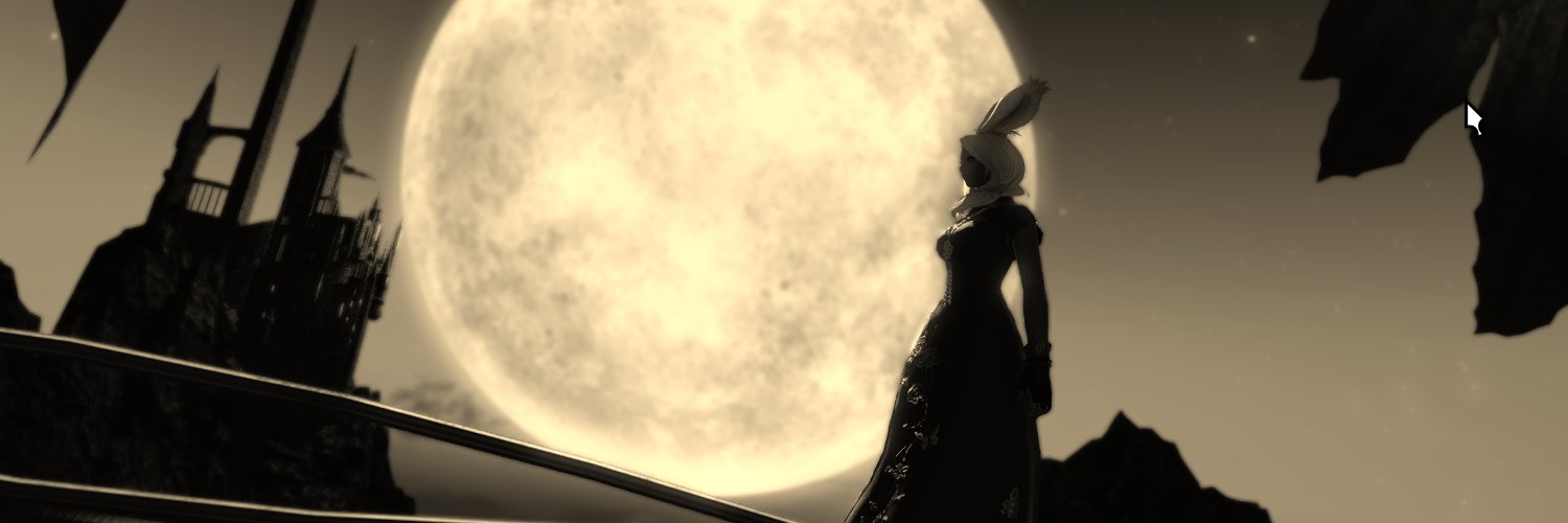 Engy2142's profile banner image