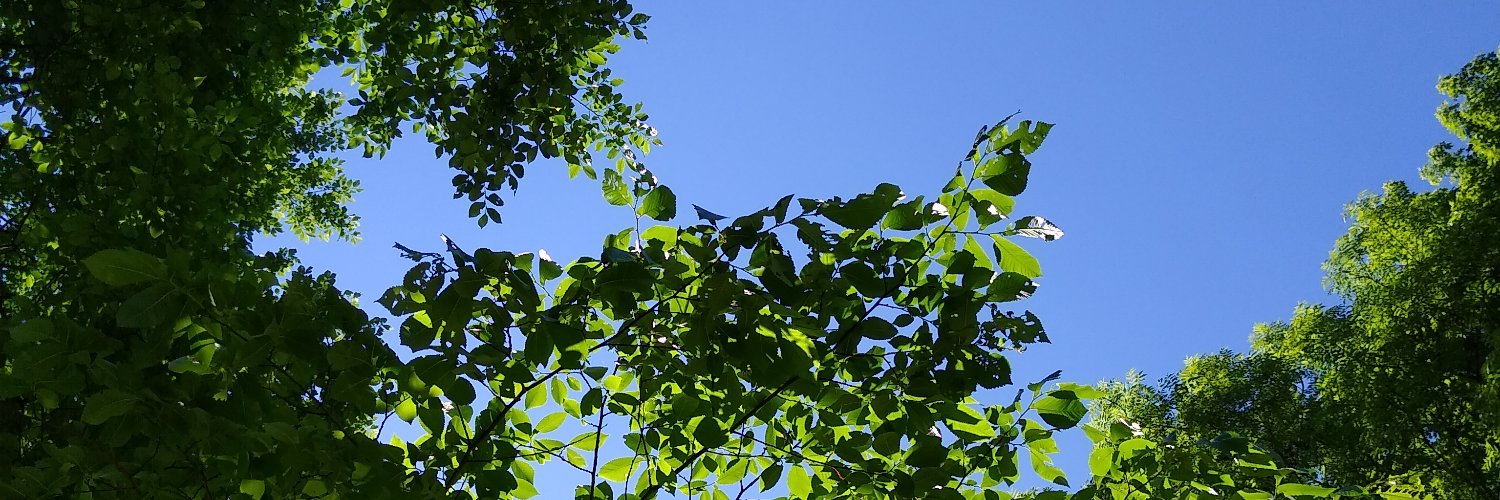 Zlatko Kregar banner