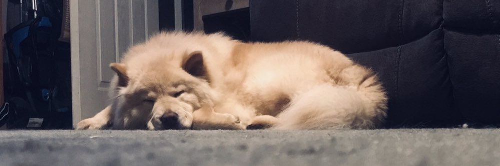 michay34's profile banner image