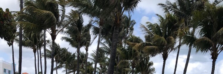 DanEaly2's profile banner image