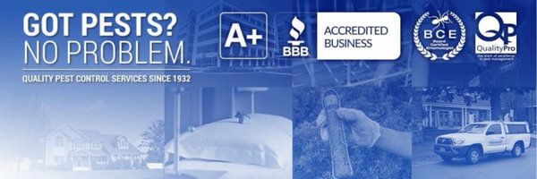 parkwaybugs Profile Banner