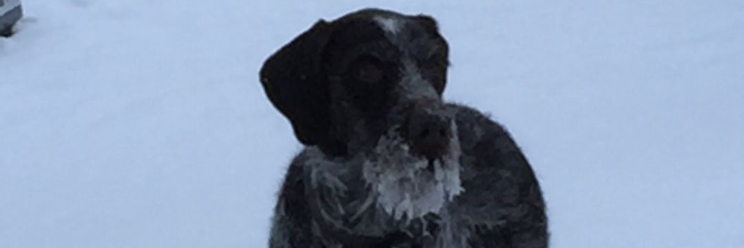 jsldoomer's profile banner image