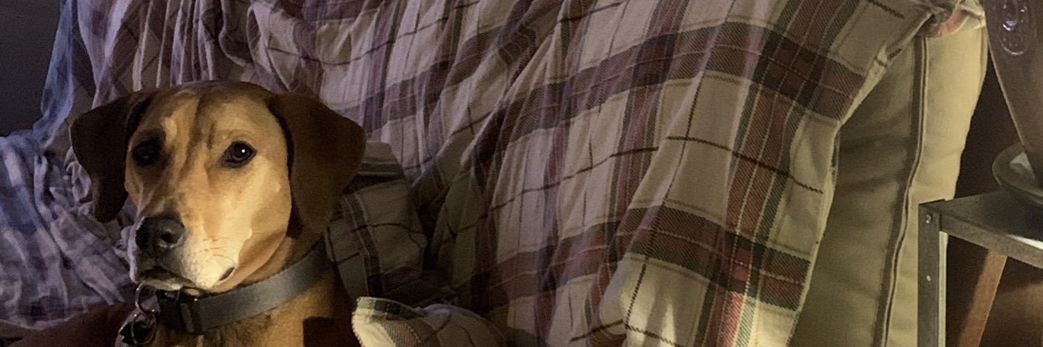 _imichl's profile banner image