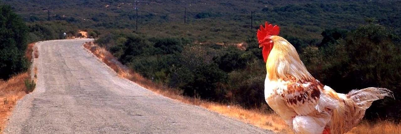 0VOSOD0's profile banner image