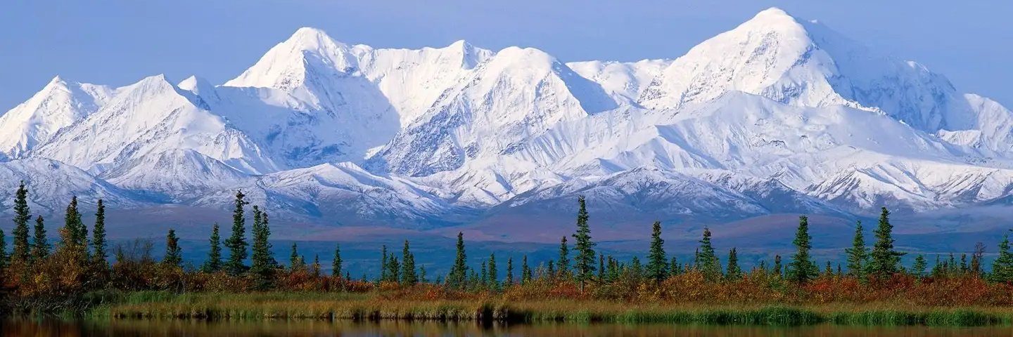 TAMELIA EDWARDS banner