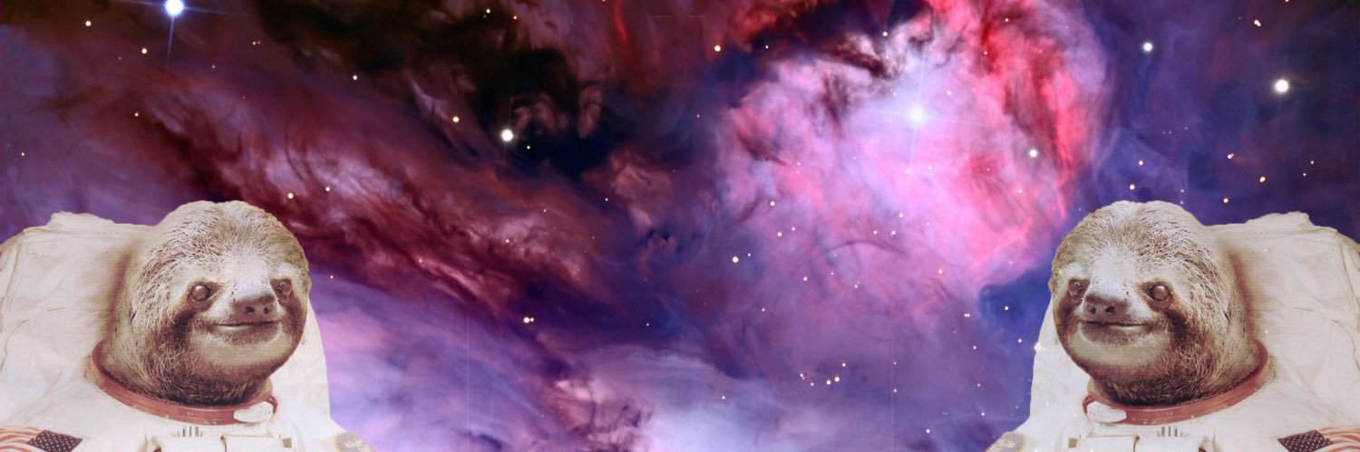 dianwolf's profile banner image