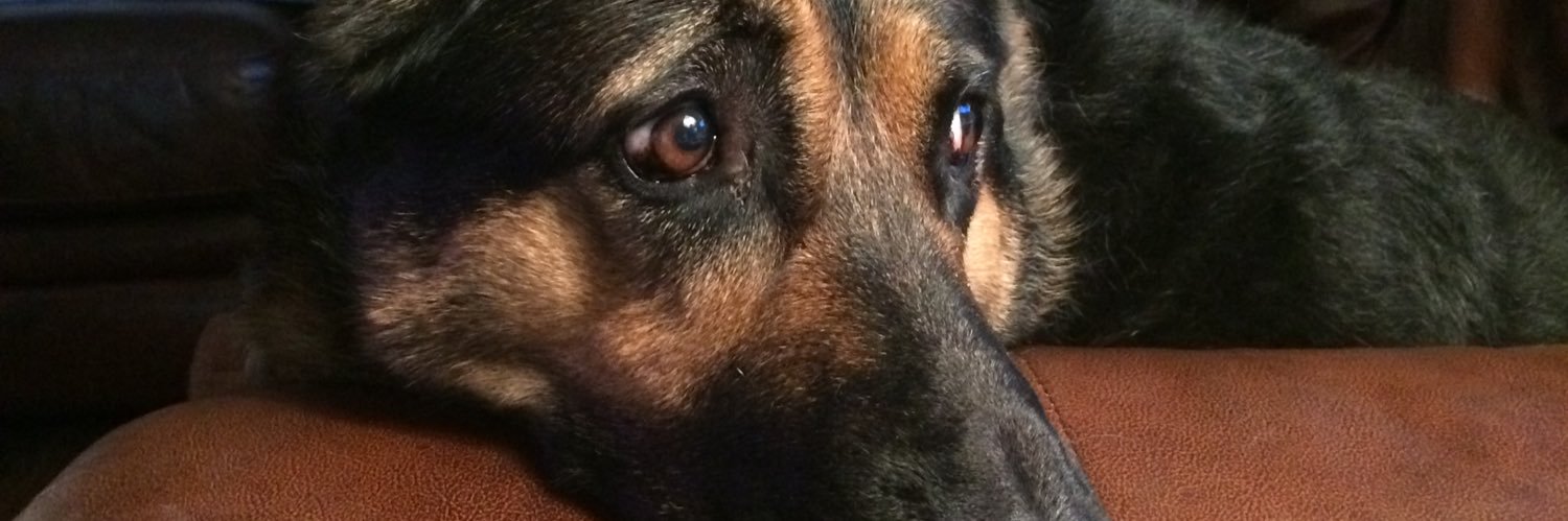 RyanConn1's profile banner image
