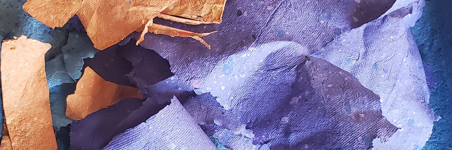 schweetbird's profile banner image