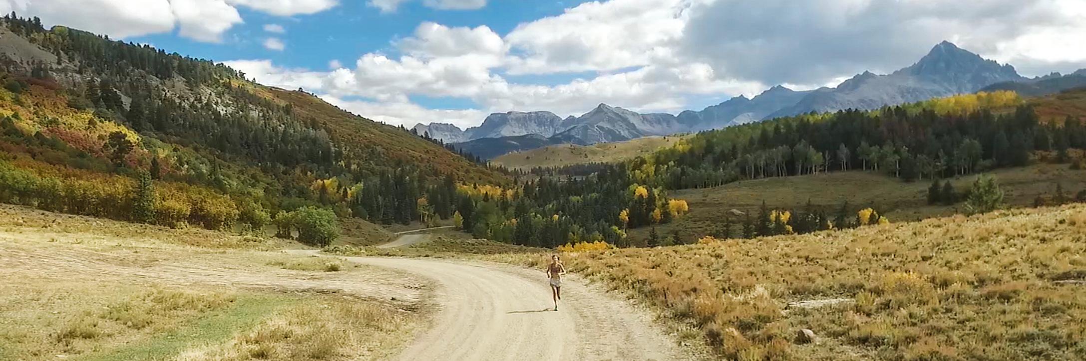 AnnMarie Kirkpatrick banner