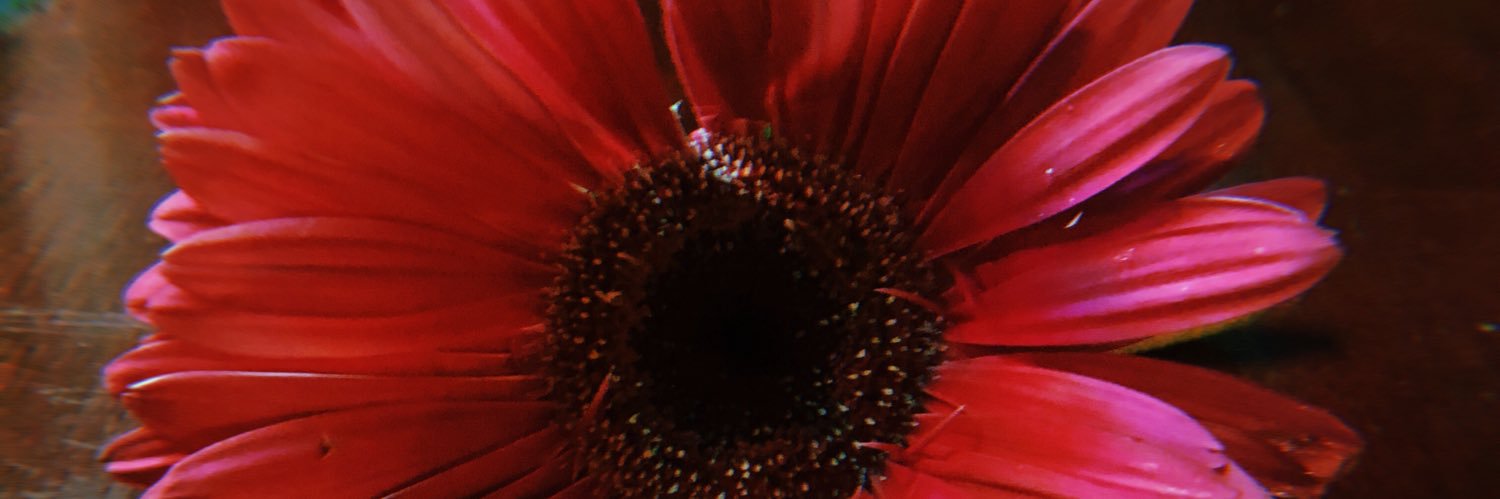 H_bangooo's profile banner image