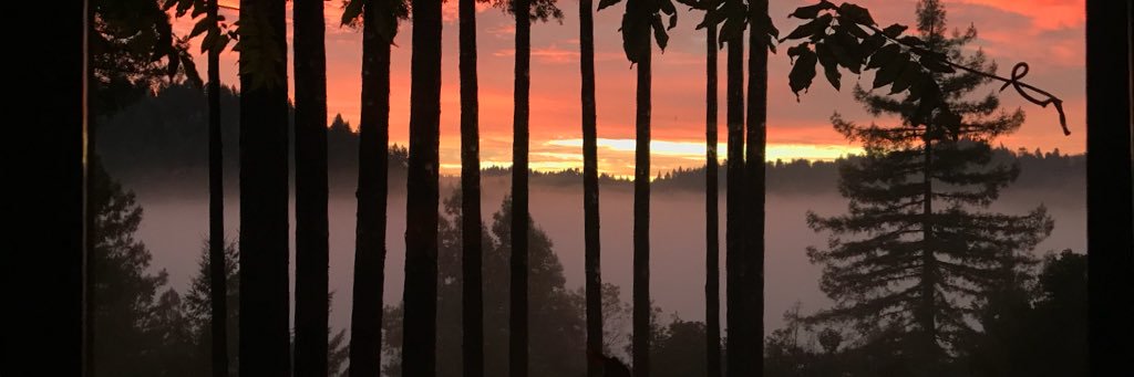 MA_Gaj's profile banner image