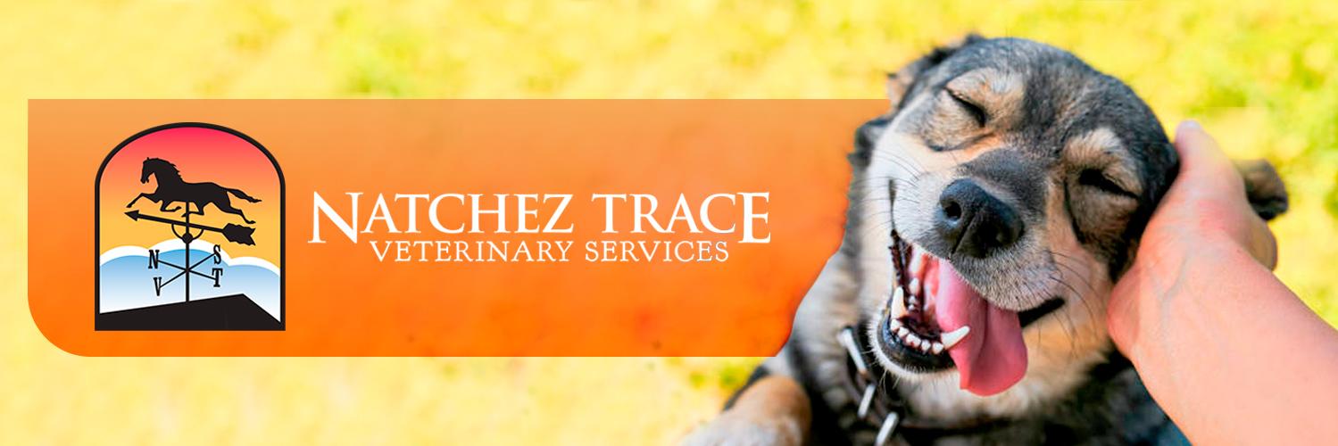 NatchezVet's profile banner image