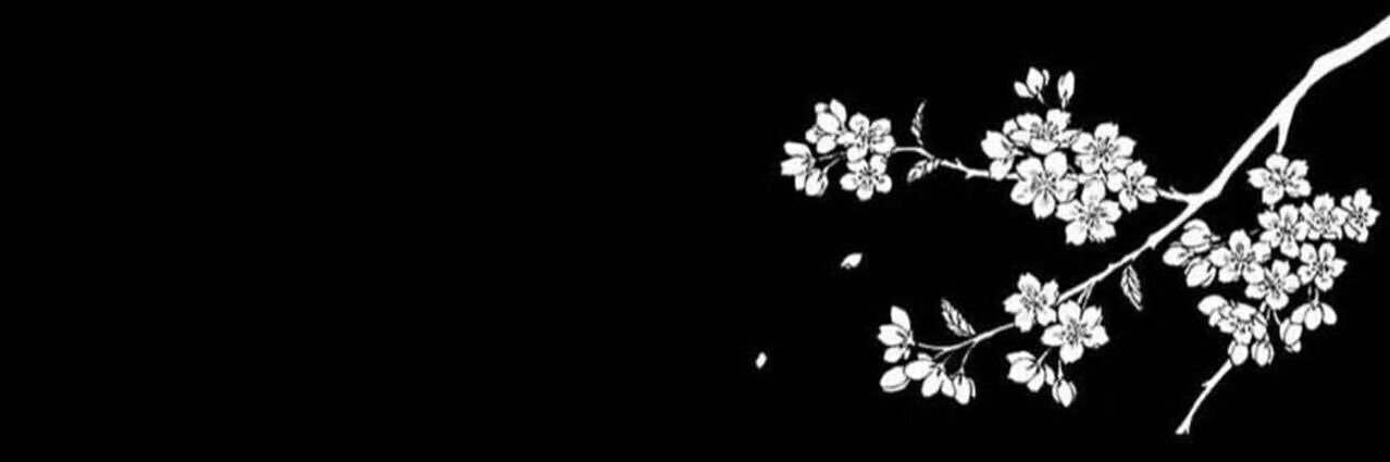 SH_AMB's profile banner image