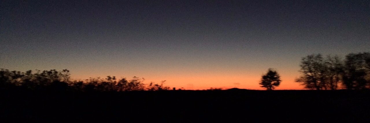 MeredithRiski's profile banner image