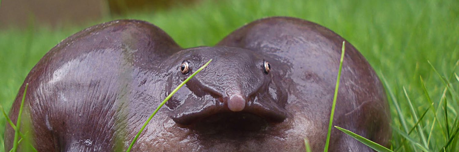 externalelms's profile banner image