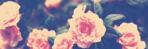 katiebohn18's profile banner image
