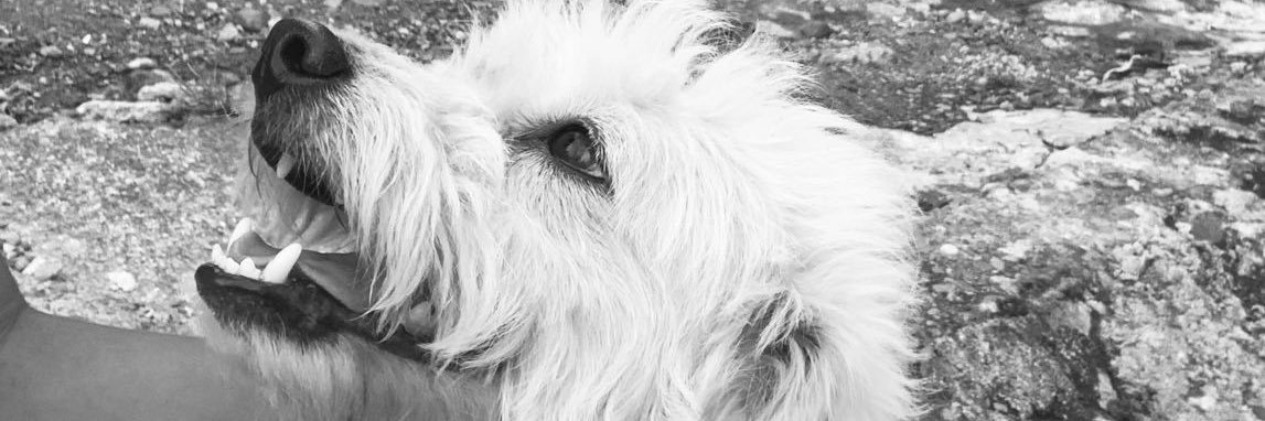 Andreacaicedob's profile banner image