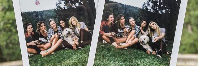 BreeDavs's profile banner image