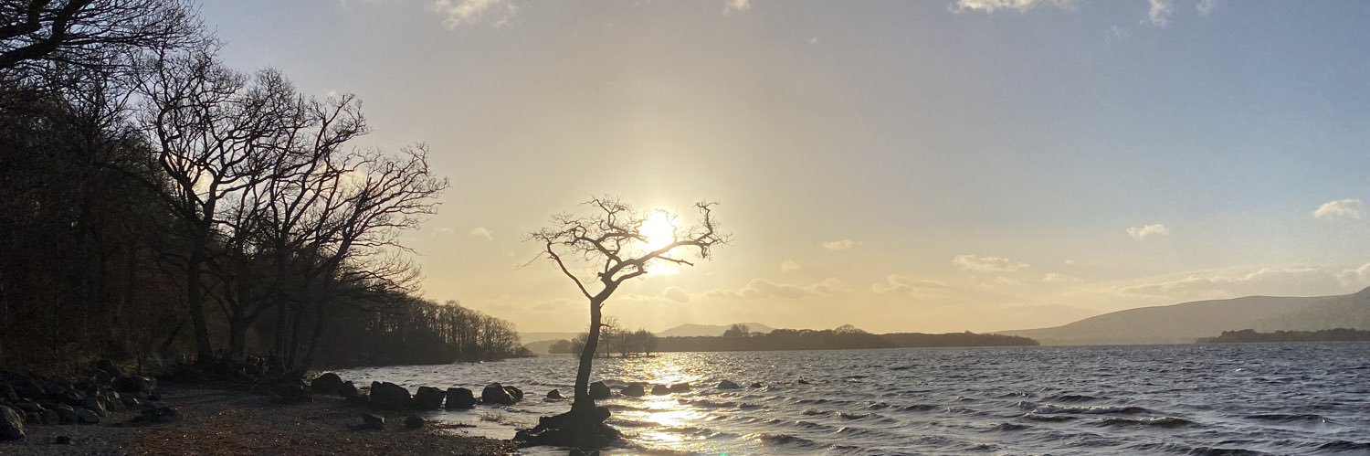 Maureen Sweeney banner