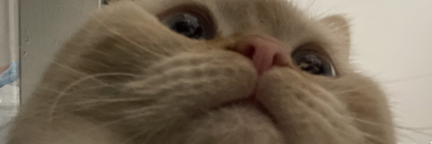 DontLookItsRyan's profile banner image