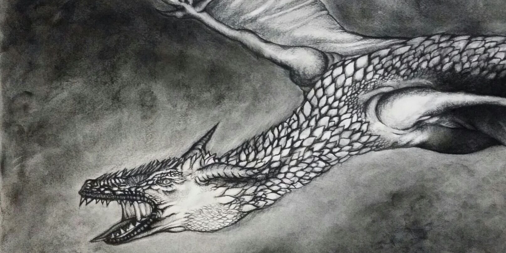 GregLicastro's profile banner image