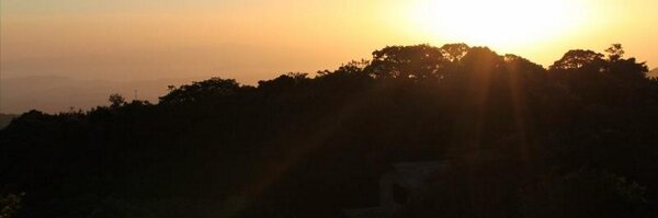 Goldenteach Profile Banner