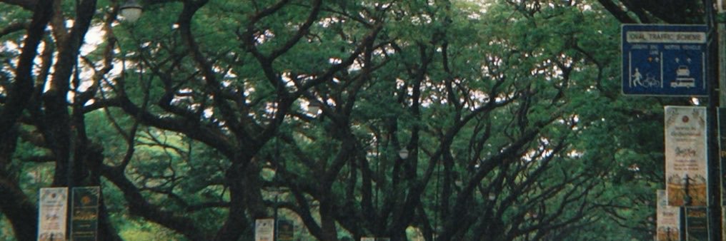 kowrinbeya's profile banner image