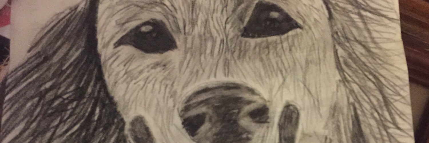 Spotts2024's profile banner image