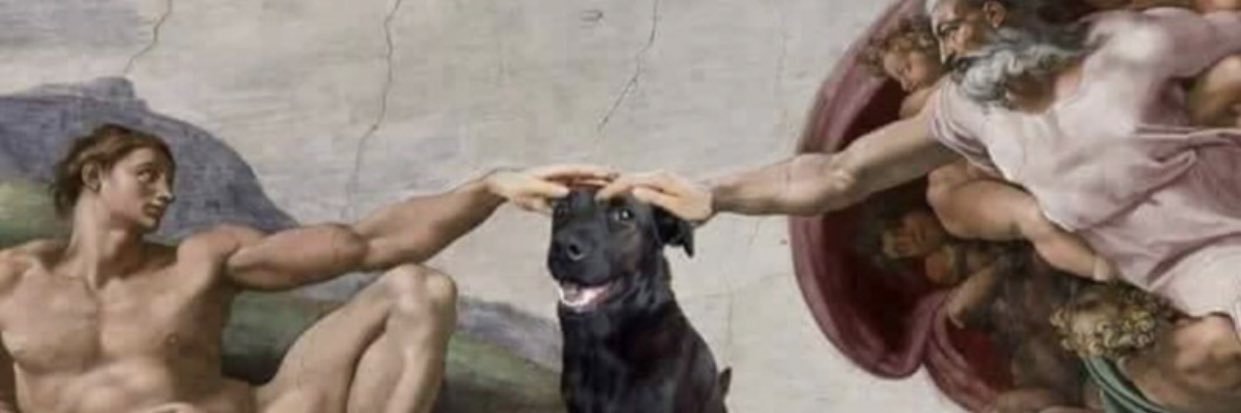 sisssterss's profile banner image