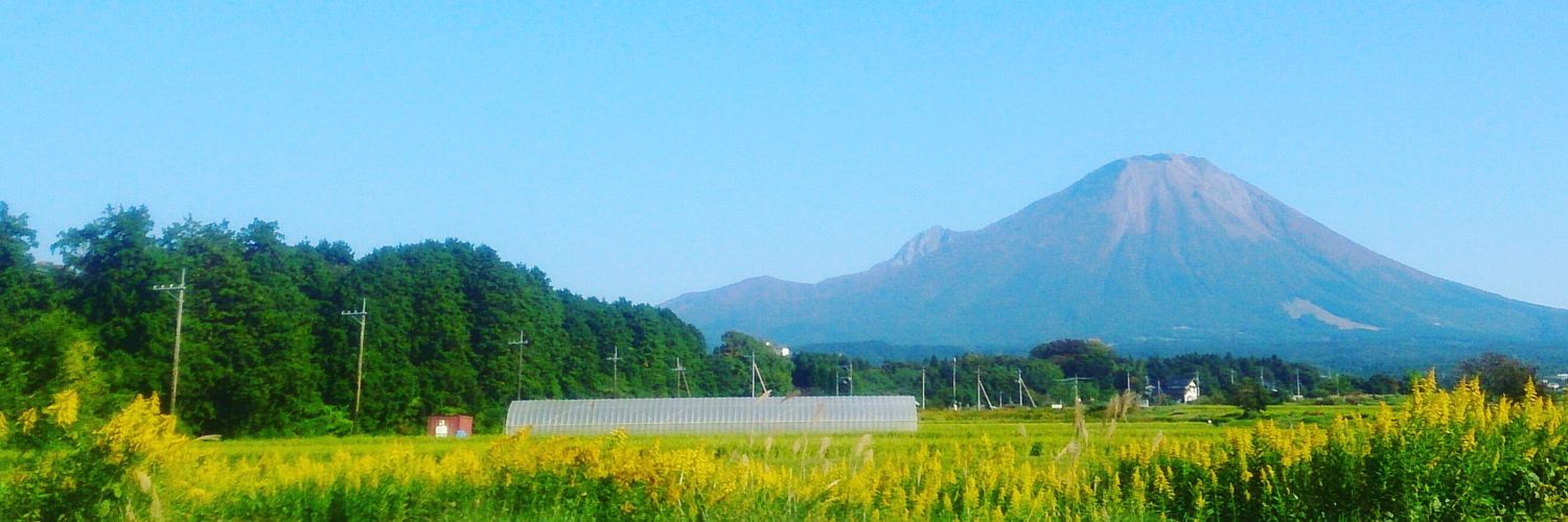 ninnin_'s profile banner image