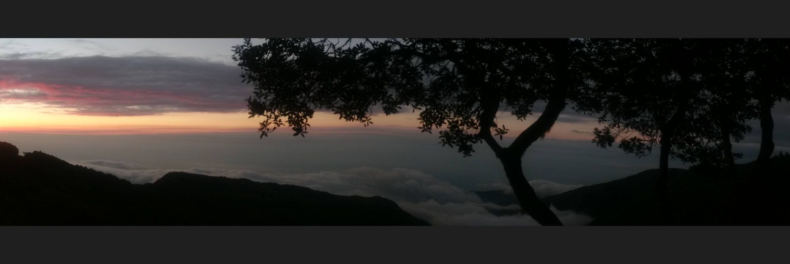 Cati Mier ☾ ♏ ☽ banner