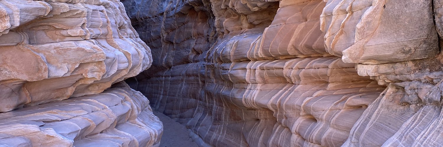 Andrea LaPointe banner