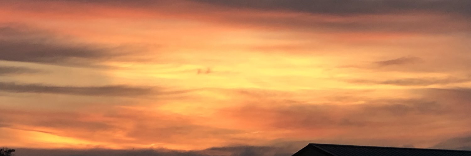 MarshaHeflin's profile banner image