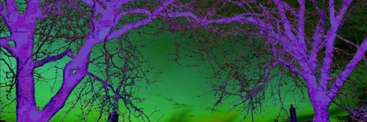 Cody Olmstead banner