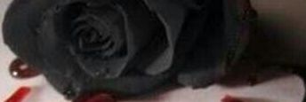 HawasSami's profile banner image