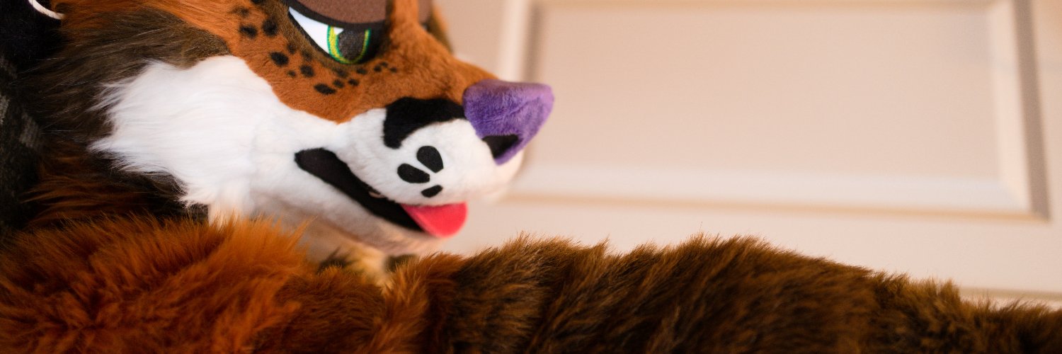 snoozathon's profile banner image