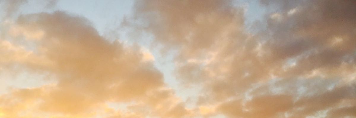 lisaveits's profile banner image