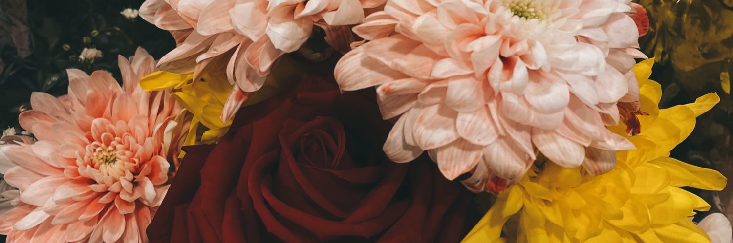MeliiGoria's profile banner image
