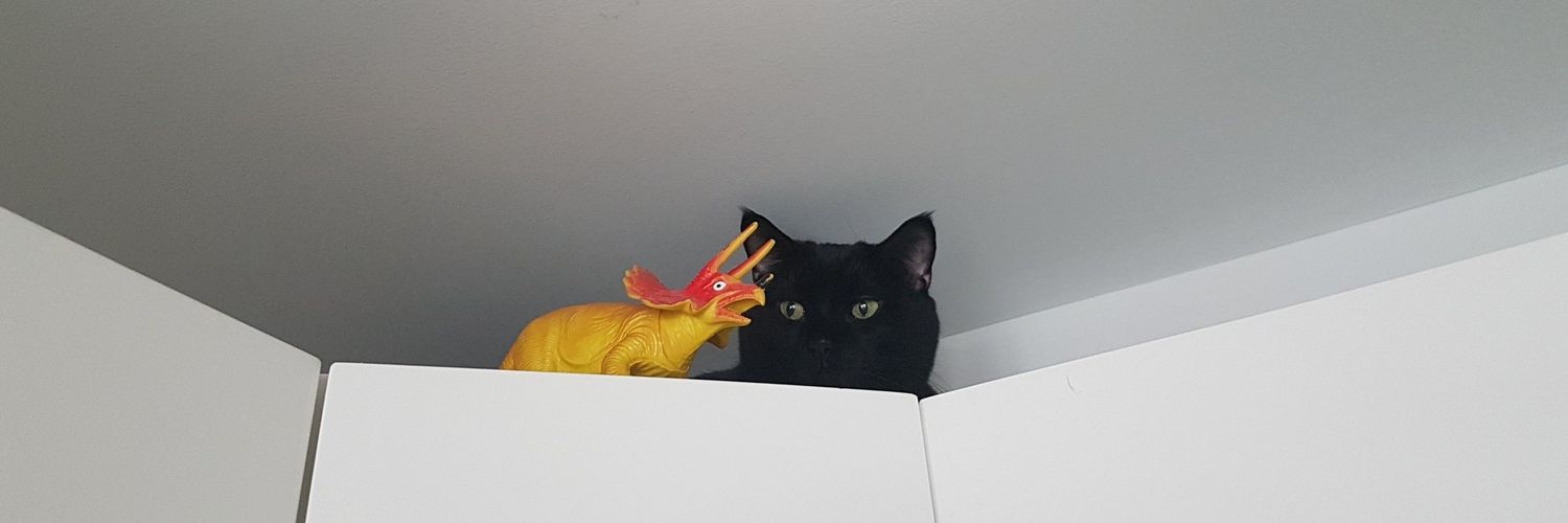 MELEKYE's profile banner image