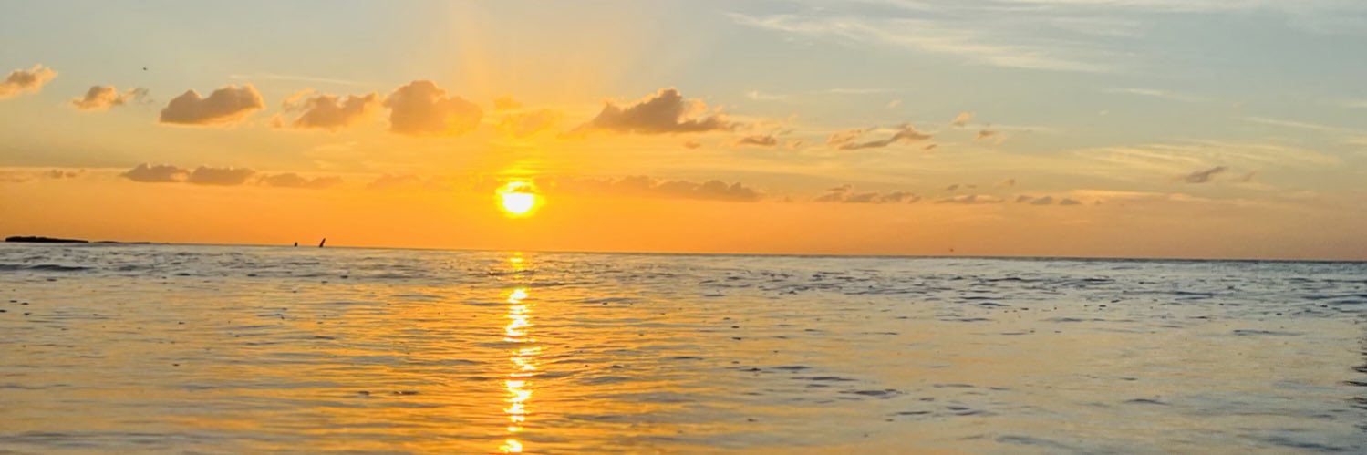 Archiwald's profile banner image