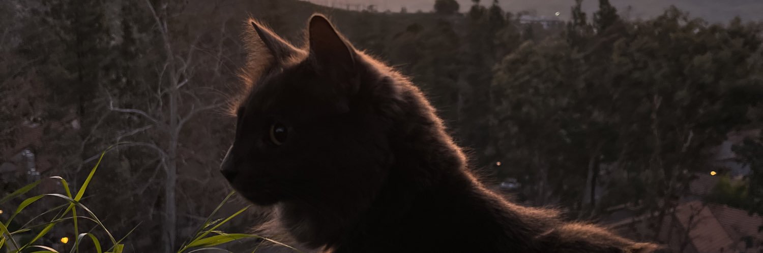 DustyNabor's profile banner image