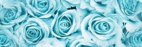 Mint__coconut's profile banner image