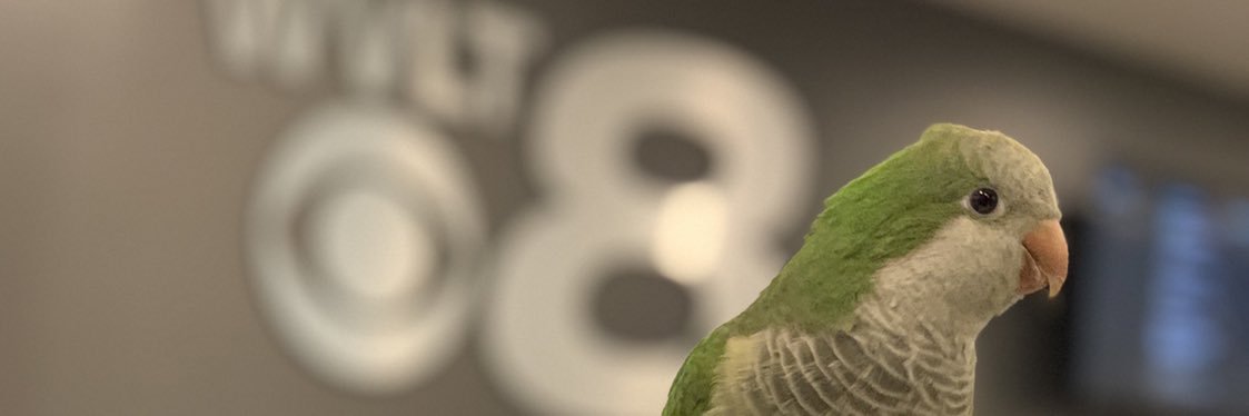 MASHTONG12's profile banner image
