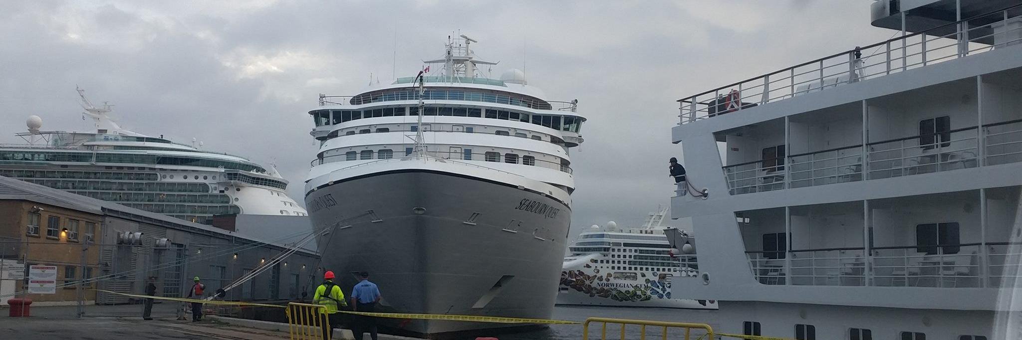 Riproren🇨🇦 banner