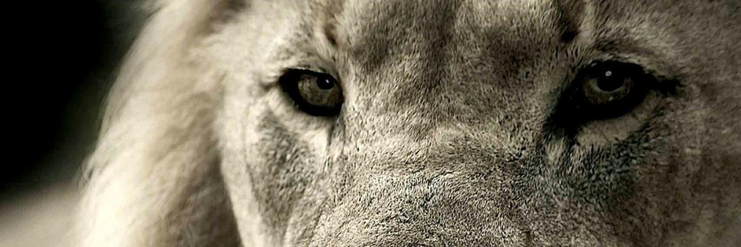NabilaAddin's profile banner image