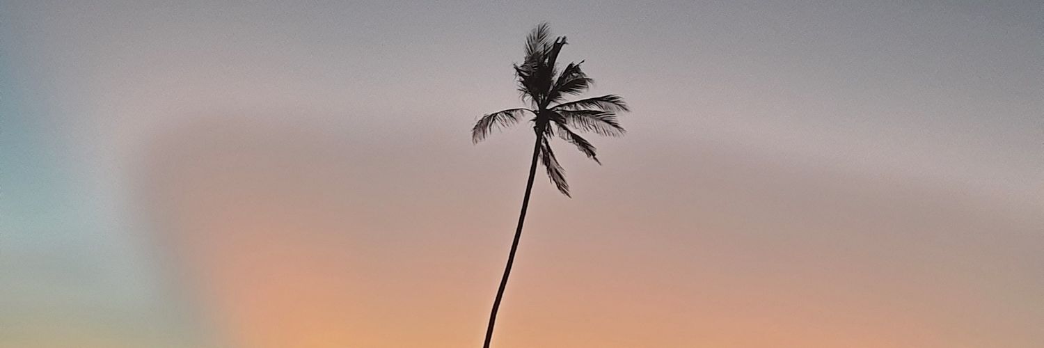 missnotknowles's profile banner image
