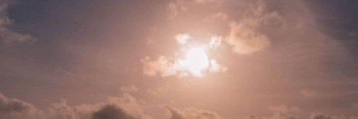 thewysepolymath's profile banner image