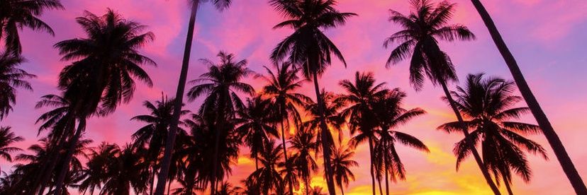 MarieBotte_'s profile banner image